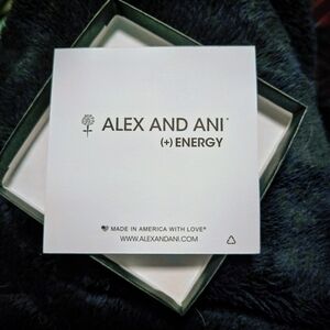 NWT Alex And Ani Energy Set of 3 Bracelets